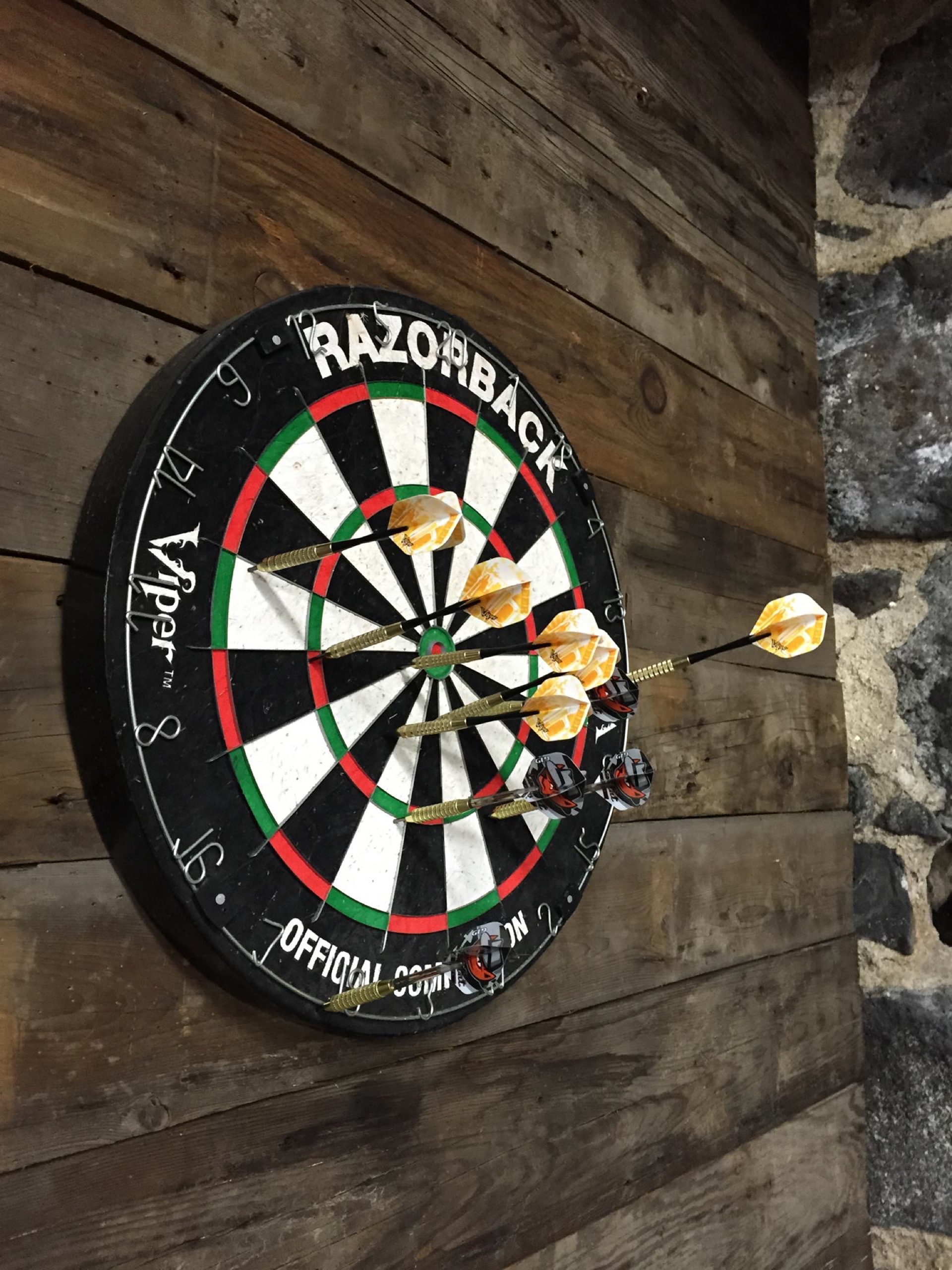 Dart Board